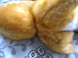 SQUIRREL VIEW A_04
